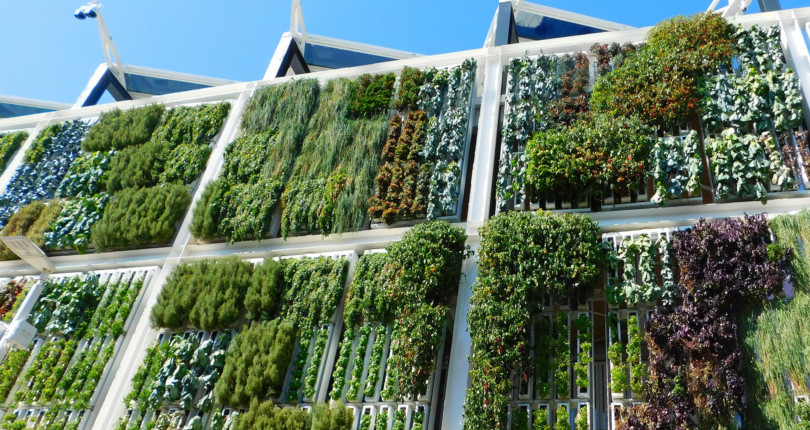 Terrazas y balcones verdes: mejorando el entorno en el que vivimos